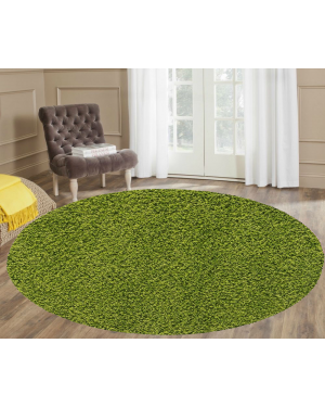 Ashely lime Round Center Piece Stain Resistant  Rug